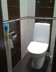 <p><em><strong>Ремонт и отделка туалета: wc дизайн санузла туалета . Шоколадный цвет.</strong></em></p>