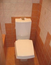 <p><em><strong>Ремонт и отделка туалета: дизайн санузла туалета WC.</strong></em></p>