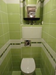 <p><em><strong>Ремонт и отделка туалета: дизайн санузла туалета ШК-салатовый.</strong></em></p>