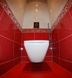 <p><em><strong>Ремонт и отделка туалета: дизайн туалета в красный тонах.</strong></em></p>