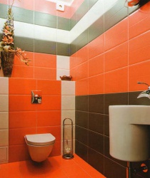 <p><em><strong>Ремонт и отделка туалета: дизайн туалета в оранжевый тонах.</strong></em></p>