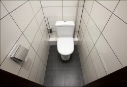 <p><em><strong>Ремонт и отделка туалета: дизайн туалета с белым кафелем.</strong></em></p>