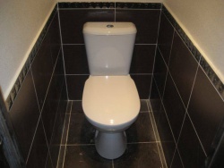 <p><em><strong>Ремонт и отделка туалета:  дизайн туалета в строгом  стиле.<br /></strong></em></p>