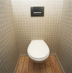 <p><em><strong>Ремонт и отделка туалета: в дизайне туалета  учтен теплый пол.</strong></em></p>