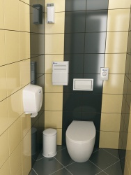 <p><em><strong>Ремонт и отделка туалета: стильный дизайн туалета WC.</strong></em></p>