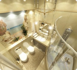 <p>Дизайн ванной совмещенной с туалетом фото</p>